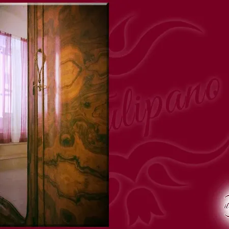 Il Tulipano Ταράντο