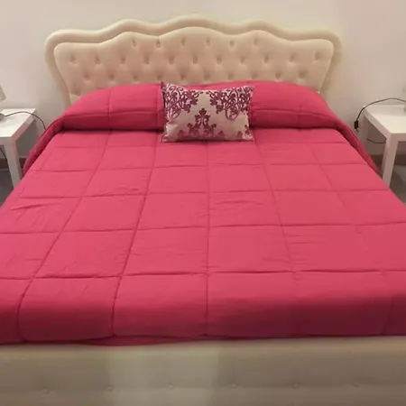 Il Tulipano